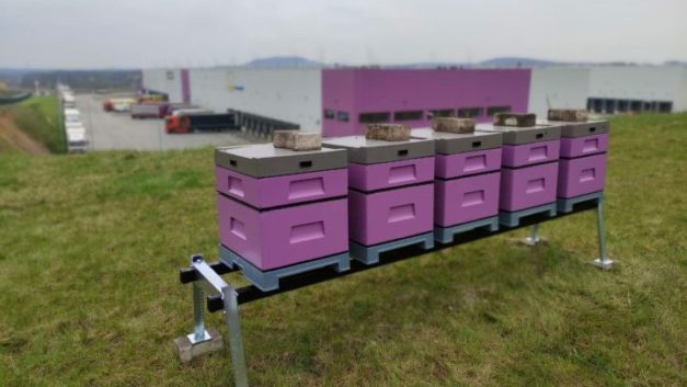 DL Invest installing beehives in pilot project